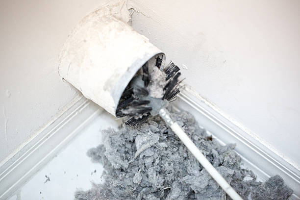 Best Commercial Air Duct Cleaning  in Natalbany, LA